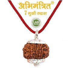 7 Mukhi Rudraksha Mala