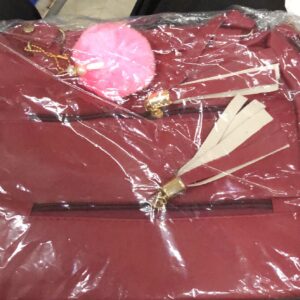 Maroon Color Hand Bag For Women