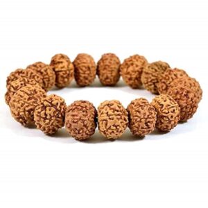 7 Mukhi Rudraksha Bracelet 7 Face Rudraksha
