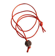 5 Mukhi Rudraksh