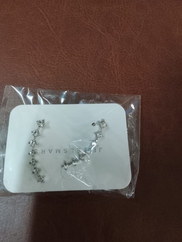Silver Plated Fancy Earrings