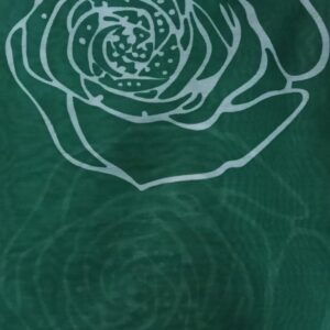 Women Saree Color Green