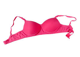 Womens Padded Bra Rani Pink Size 36