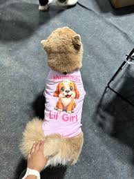 Thunder Tails Pink Color Printed Mamma Lil Girl Dog Dress Size 5Xl