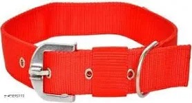 Red Dog Collar Belt