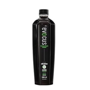 Evocus More Than Water Alkaline 500Ml
