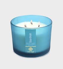 Ekam Scented 3 Wick Ocean Dream Candle 256G