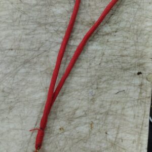 Shoulder Whistle Color Red For Kids