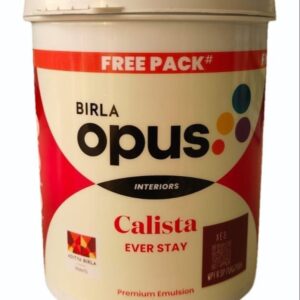 Birla Opus Calista Ever Stay Packaging Size 1 Ltr