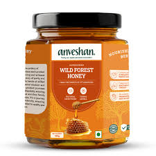 Anveshan Raw Wild Forest Honey 500 G