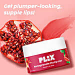 Plix Pomegranate Plump Lips With Chiuri Butter Vitamin C 15 G