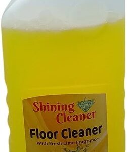 3 N 1 All Purpose Cleaning Floor Cleaner 500Ml
