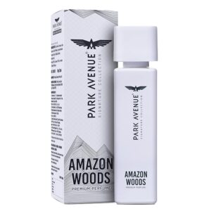 Park Avenue Voyage Signature Collection | Liquid Perfume For Men 120Ml