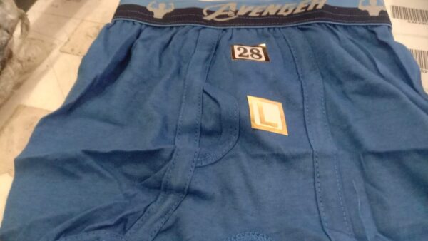 Blue Color Cotton Underwear For Boys Kids Size L