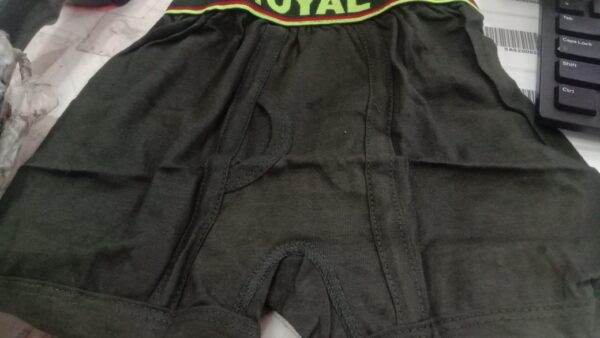 Henna Green Color Cotton Underwear For Boys Kids Size 28