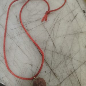 5 Mukhi Rudraksha Pendant With Red Thread