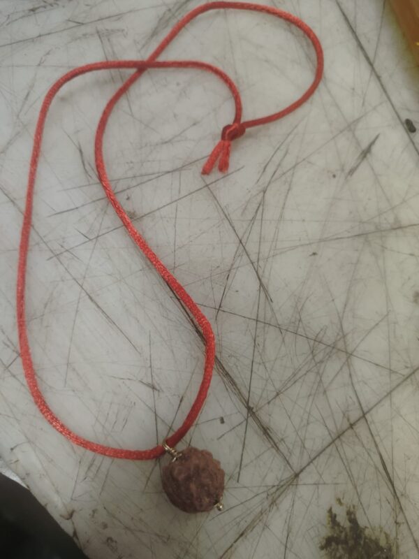 5 Mukhi Rudraksha Pendant With Red Thread