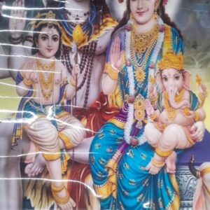 Shiv Parvati Wall Stickers Multicolour