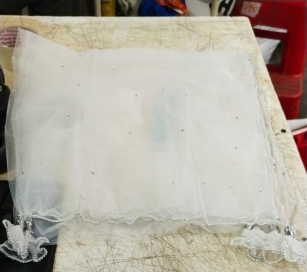 Women White Colour Fancy Dupatta
