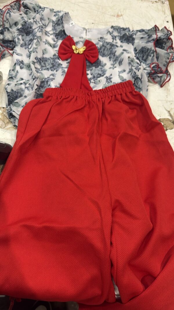 Kids Girl Red And Grey Color Dress Set Size 28