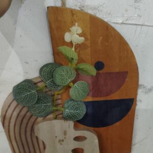 Art Street Engineered Wood Vintage Style Boho Art Wall Hanging