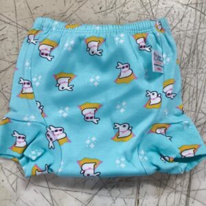 Superbottoms Padded Underwear Sky Blue Printed Size 1