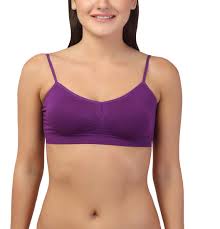 Women Bra Purple Color Size 34