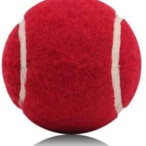 Red Tennis Ball Cricket