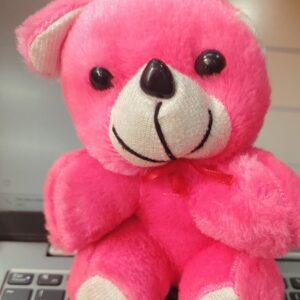 Pink Color Kids Teddy Toy
