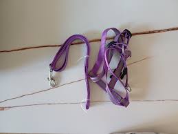Purple Colour Reflective Nylon Dog Harness And Leash Set