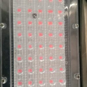 Amexe Led Black Light 50W Up To 500 Lumens