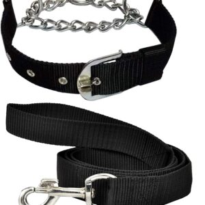 Rv Paws Dog Belt Adjustable Combo of Nylon 1 Inch Choke Collar 60 Inch Lengthy Dog Your Dogs Black