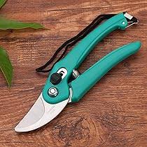 Stainless Steel Pruning Scissors Green Colour