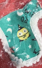 Private Label Gopal Ji Winter Dress Green