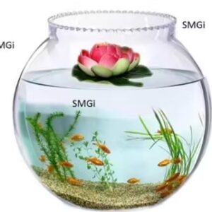 Private Label Elegant 6Inch Glass Fish Bowl
