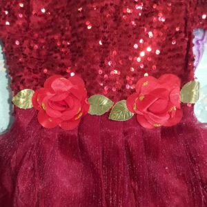 Private Label Meroon Colour 24 Size Frock velvet Net