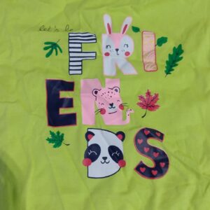 Private Label Girls T Shirt Green Colour 26 Size