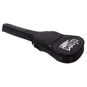 Private Label Black Guiter Bag
