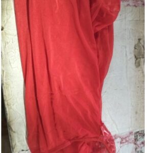 Private Label WOMEN INNER WEAR FREE SIZE RED