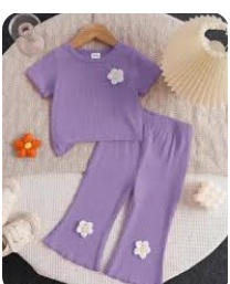 Private Label Baby girls top and bottom set PURPLE COLOUR