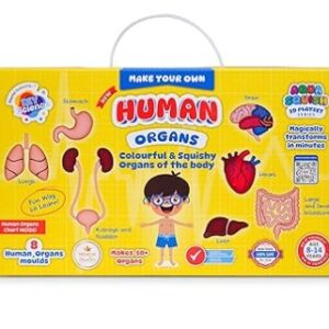 Human Organs Aqua Squish Kit Make More Than 50 3D Soft and Squishy Human Organs Birthday Gift 8 Years