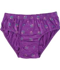 Women Purple Colour Panty Size L
