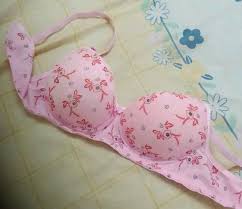 Women Bra Pink Colour Size 28