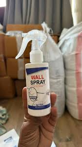 Wall Repair Paint Spray 100Ml
