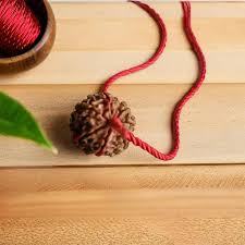 5 Mukhi Rudraksha Bead With Red Tread