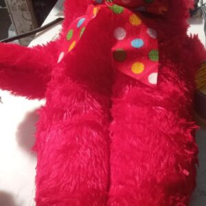 Red Soft Teddy Bear Kiddy Toy