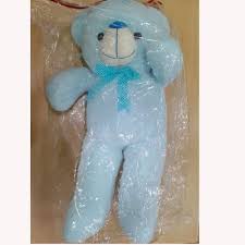 Soft Teddy Bear Sky Color 22 Inch