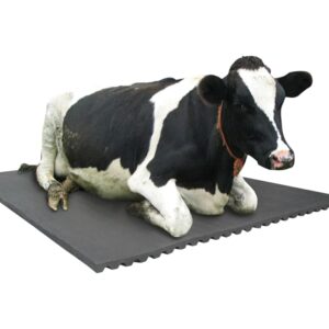 Black Color Cow Mat Size 8X5Ft