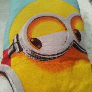 Multi Colour Kids Pillow