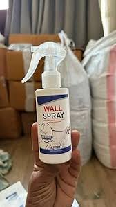 Without Pump Wall Spray Repair Spray Householder 100Ml